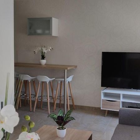 Le Cygne, Appartement De Standing En Hyper-Centre Sarreguemines Dış mekan fotoğraf