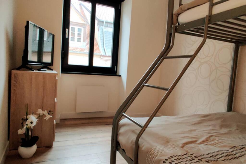 Le Cygne, Appartement De Standing En Hyper-Centre Sarreguemines Dış mekan fotoğraf