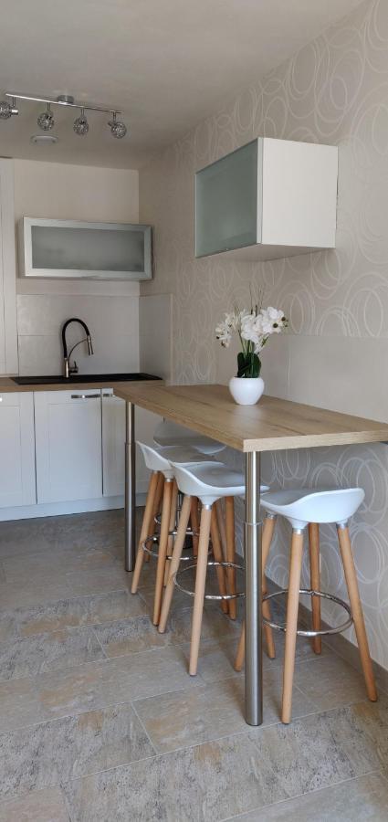 Le Cygne, Appartement De Standing En Hyper-Centre Sarreguemines Dış mekan fotoğraf