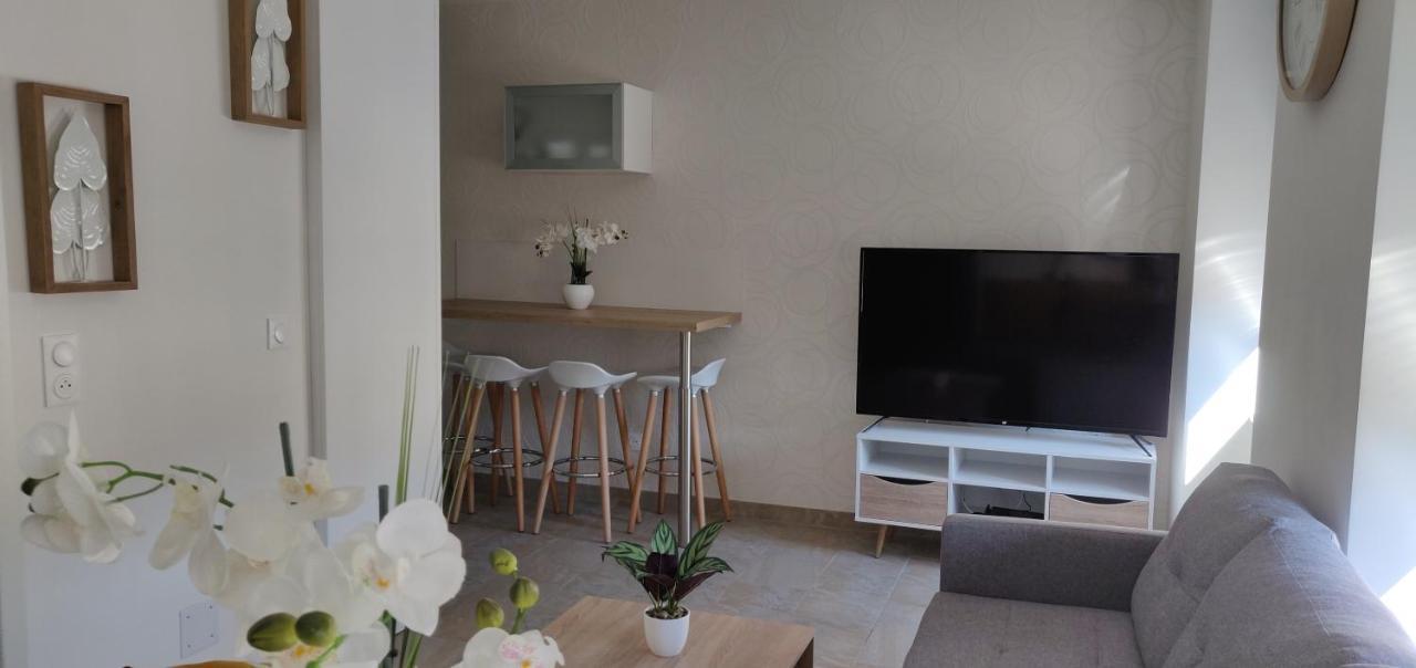 Le Cygne, Appartement De Standing En Hyper-Centre Sarreguemines Dış mekan fotoğraf