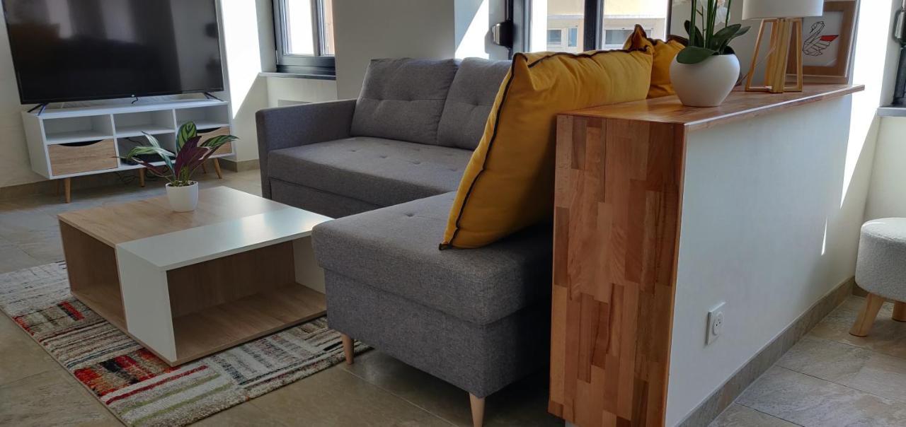 Le Cygne, Appartement De Standing En Hyper-Centre Sarreguemines Dış mekan fotoğraf