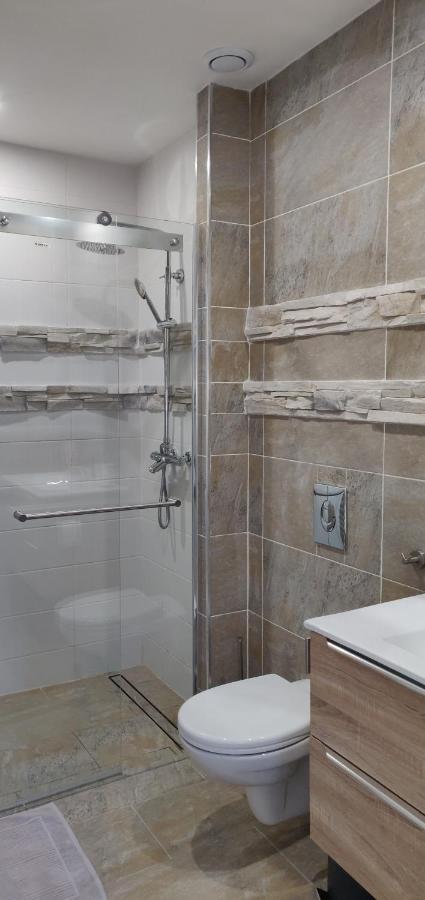 Le Cygne, Appartement De Standing En Hyper-Centre Sarreguemines Dış mekan fotoğraf