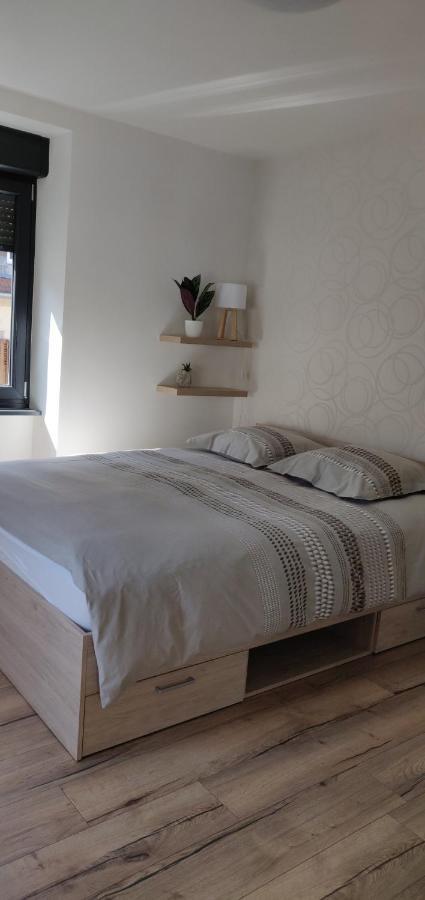 Le Cygne, Appartement De Standing En Hyper-Centre Sarreguemines Dış mekan fotoğraf